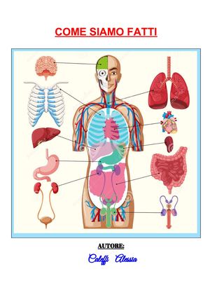 Come Siamo Fatti