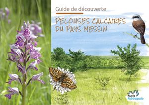 Guide des Pelouses calcaires du Pays Messin