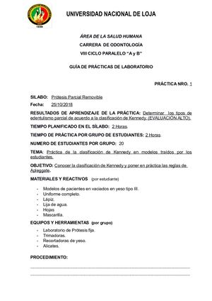 Guías Prácticas Ppr 2018