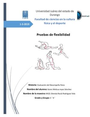 Pruebas De Flexibilidad (Autoguardado)