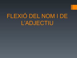 La Flexió Del Nom I De L'adjectiu