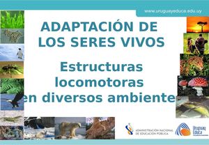 Adaptacion Seres Vivos