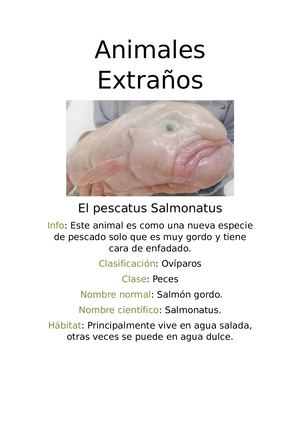 Animales Extraños (1)