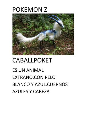 Caballpoket