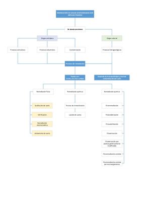 Mapa Conceptual
