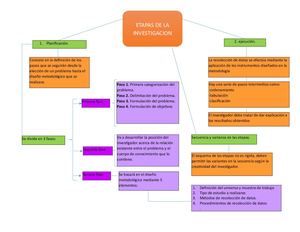 Mapa Etapas De La Investigacion