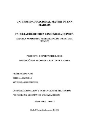 2004 Industrializacion De La Papa