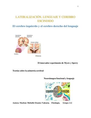 Lateralización, Lenguaje Y Cerebro Escindido