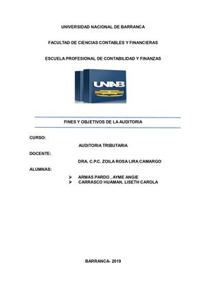 Fines Y Objetivos De Auditoria (1)