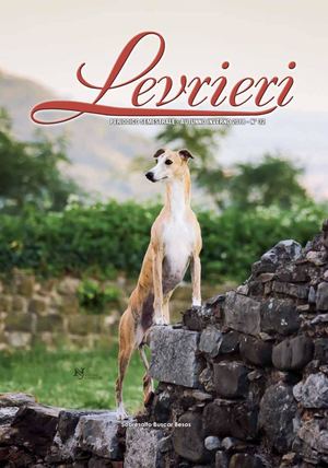 Levrieri Autunno inverno 2018