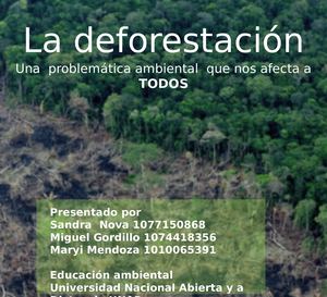 La Deforestación Una Problemática Ambiental Que Nos Afecta A Todos