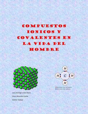 COMPUESTOS IONICOS Y COVALENTES EN LA VIDA DEL HOMBRE
