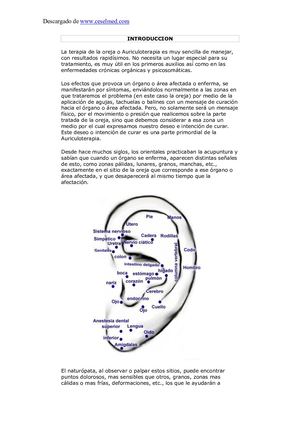 La Terapia De La Oreja Auriculoterapia