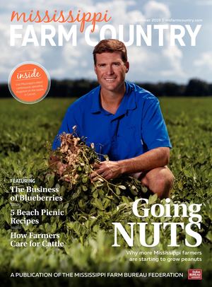 Mississippi Farm Country Summer 2019