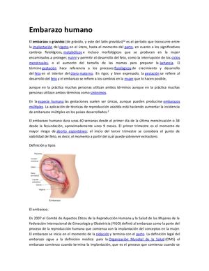 Embarazo Humano