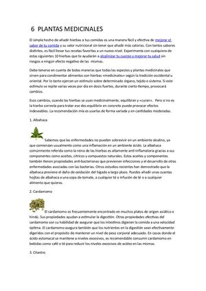 6 Plantas Medicinales
