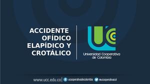 Elapidico Crotalico Ok (1)