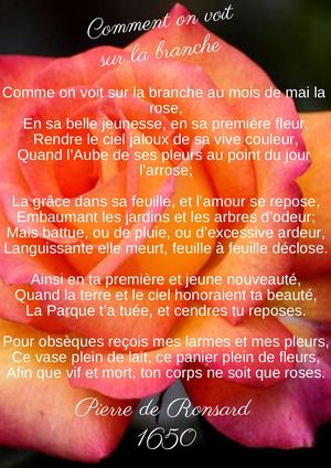 Comme On Voit Sur La Branche, Ronsard
