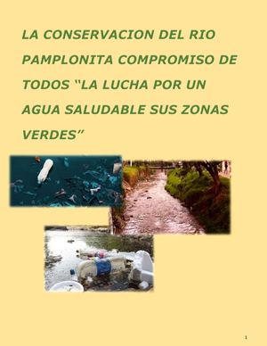 La Conservacion Del Rio Pamplonita Compromiso De Todos