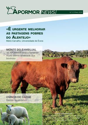 Apormor News Nº2
