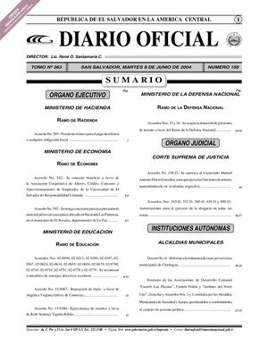 20040608 DIARIO OFICIAL