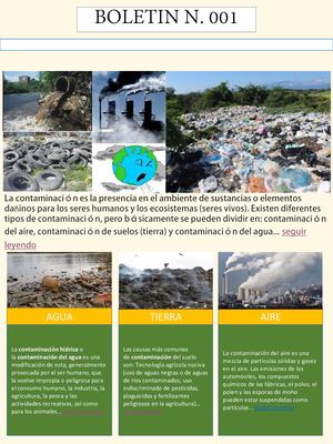 Contaminacion Ambiental