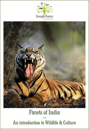 Jungle Sutra - Facets Of India