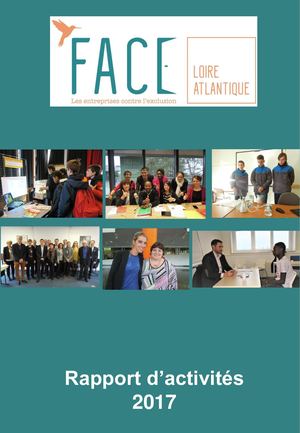 Rapport D'activites Detaillé 2017 Face 44