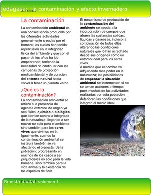 La Contaminacion Ambiental