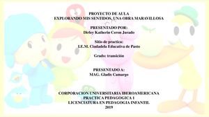 Proyecto Pedagogico De Aula
