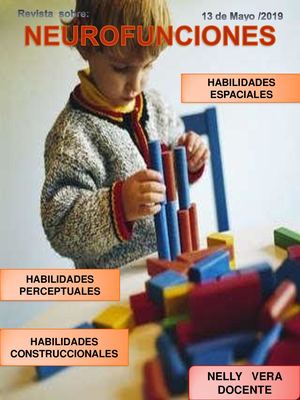 Neurofunciones Nelly Vera