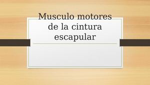 Musculo Motores De La Cintura Escapular
