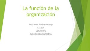 La Función De La Organización