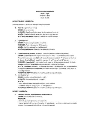 Musculos Del Hombro