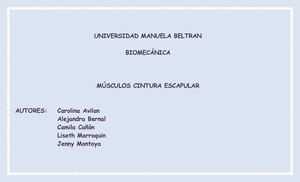 Músculos Cintura Escapular