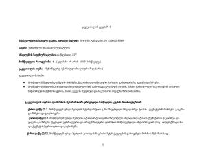 გეგმა N 1 მეჩონგურე