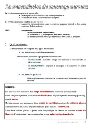 La transmission du message nerveux