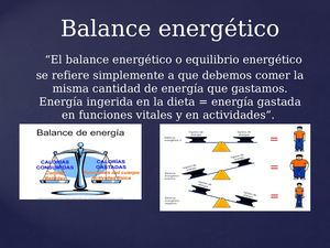 Balance Energético