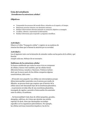 Guia Pedagogica