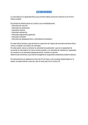 SESIÓN VELOCIDAD