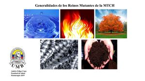 Generalidades de los Reinos Mutantes de la MTCH