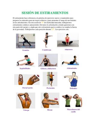 Sesión De Estiramientos