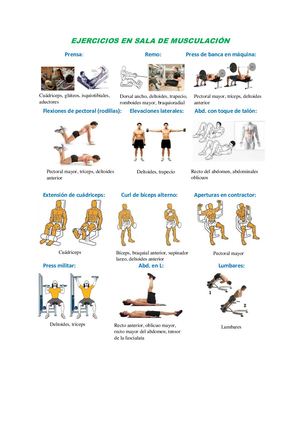 Ejercicios En Sala De Musculación