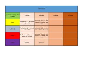 Planificación Dos Semanas