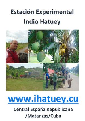 Mango-Coco y Poda / Indio Hatuey