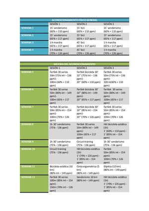 Cuadro Resumen De Resistencia A Lo Largo De Todo El Programa