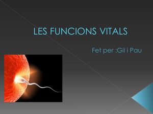 La reproducció humana