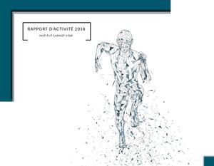 Rapport d'activité IC STAR 2018