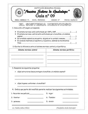 Sistema Nervioso