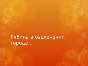 рябина в городском озеленении